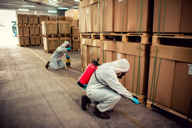Best Wasp Removal Services  in Sisters, OR