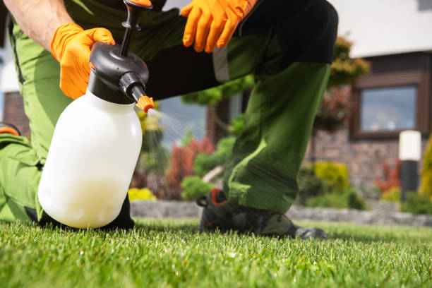 Best Pest Prevention Services  in Sisters, OR