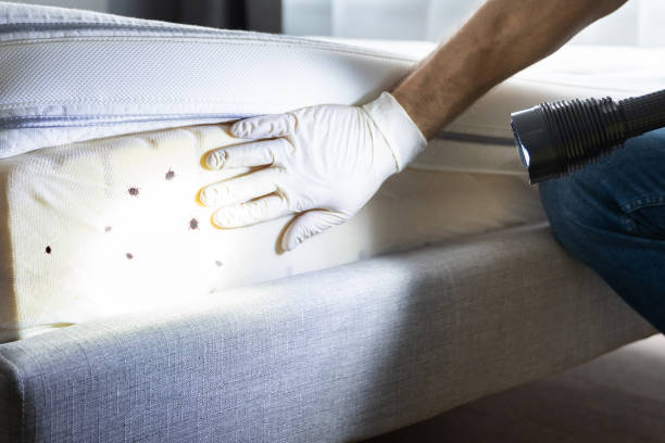 Professional Pest Control in Sisters, OR