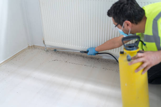 Wasp Removal Services in Sisters, OR